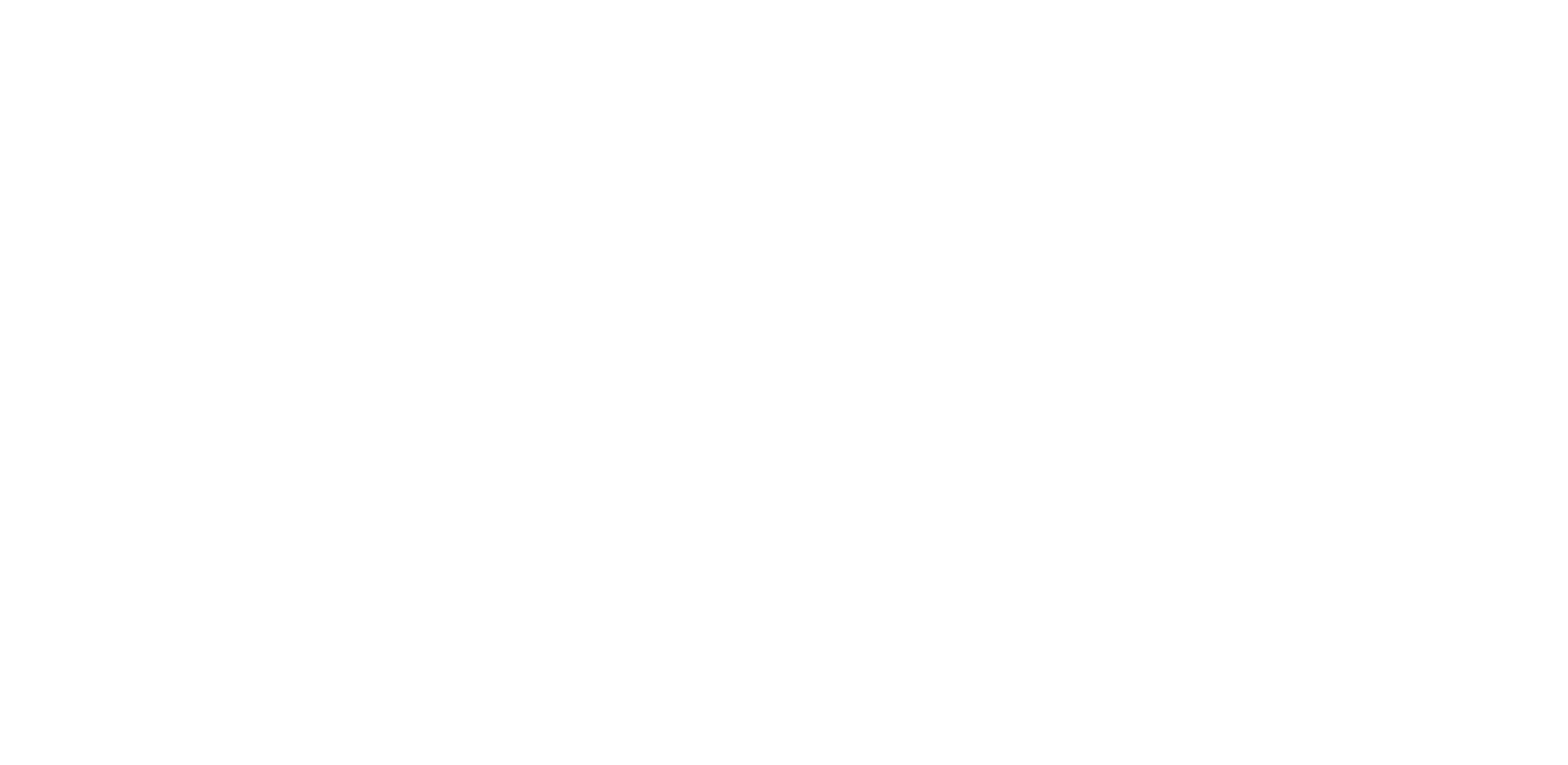light logo